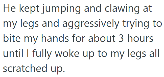 He kept jumping and clawing at my legs and aggressively trying to bite my hands for about 3 hours until I fully woke up to my legs all scratched up.