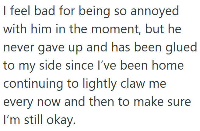 I feel bad for being so annoyed with him in the moment, but he never gave up and has been glued to my side since I've been home continuing to lightly claw me every now and then to make sure I'm still okay.
