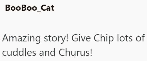 BooBoo_Cat Amazing story! Give Chip lots of cuddles and Churus!