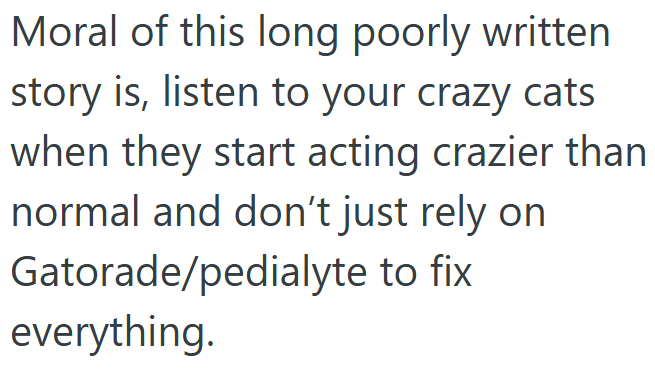 Moral of this long poorly written story is, listen to your crazy cats when they start acting crazier than normal and don't just rely on Gatorade/pedialyte to fix everything.