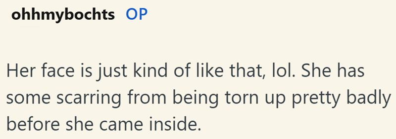ohhmybochts OP Her face is just kind of like that, lol. She has some scarring from being torn up pretty badly before she came inside.