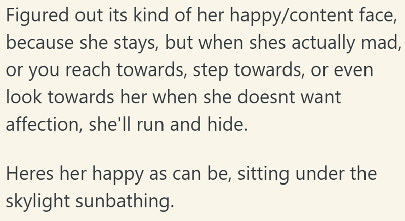 Figured out its kind of her happy/content face, because she stays, but when shes actually mad, or you reach towards, step towards, or even look towards her when she doesnt want affection, she'll run and hide. Heres her happy as can be, sitting under the skylight sunbathing.