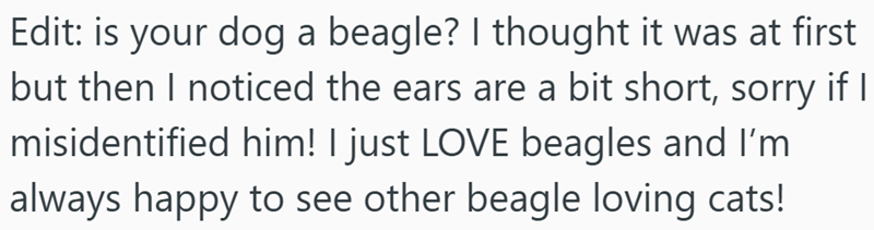 Edit: is your dog a beagle? I thought it was at first but then I noticed the ears are a bit short, sorry if I misidentified him! I just LOVE beagles and I'm always happy to see other beagle loving cats!