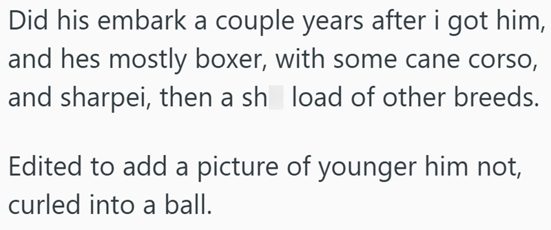 Did his embark a couple years after i got him, and hes mostly boxer, with some cane corso, and sharpei, then a sh load of other breeds. Edited to add a picture of younger him not, curled into a ball.