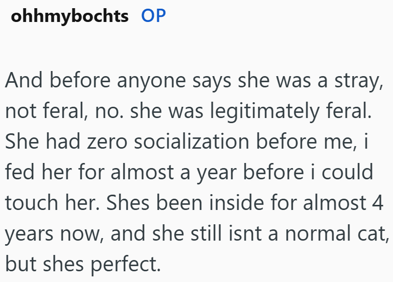 ohhmybochts OP And before anyone says she was a stray, not feral, no. she was legitimately feral. She had zero socialization before me, i fed her for almost a year before i could touch her. Shes been inside for almost 4 years now, and she still isnt a normal cat, but shes perfect.