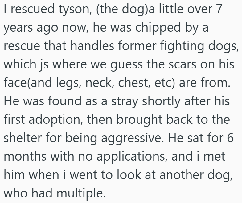 I rescued tyson, (the dog)a little over 7 years ago now, he was chipped by a rescue that handles former fighting dogs, which js where we guess the scars on his face (and legs, neck, chest, etc) are from. He was found as a stray shortly after his first adoption, then brought back to the shelter for being aggressive. He sat for 6 months with no applications, and i met him when i went to look at another dog, who had multiple.