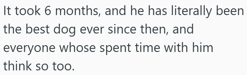 It took 6 months, and he has literally been the best dog ever since then, and everyone whose spent time with him think so too.