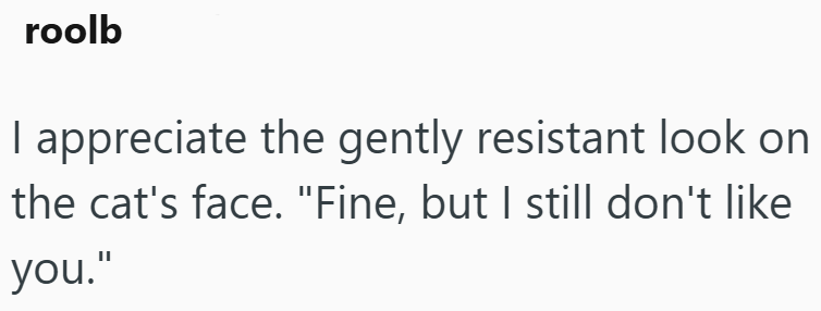 roolb I appreciate the gently resistant look on the cat's face. "Fine, but I still don't like you."