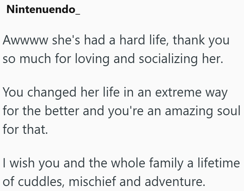 Nintenuendo_ Awwww she's had a hard life, thank you so much for loving and socializing her. You changed her life in an extreme way for the better and you're an amazing soul for that. I wish you and the whole family a lifetime of cuddles, mischief and adventure.