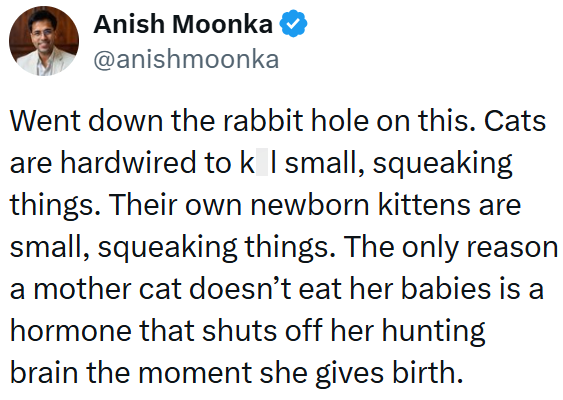 Anish Moonka @anishmoonka Went down the rabbit hole on this. Cats are hardwired to k I small, squeaking things. Their own newborn kittens are small, squeaking things. The only reason a mother cat doesn't eat her babies is a hormone that shuts off her hunting brain the moment she gives birth.