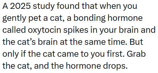 A 2025 study found that when you gently pet a cat, a bonding hormone called oxytocin spikes in your brain and the cat's brain at the same time. But only if the cat came to you first. Grab the cat, and the hormone drops.