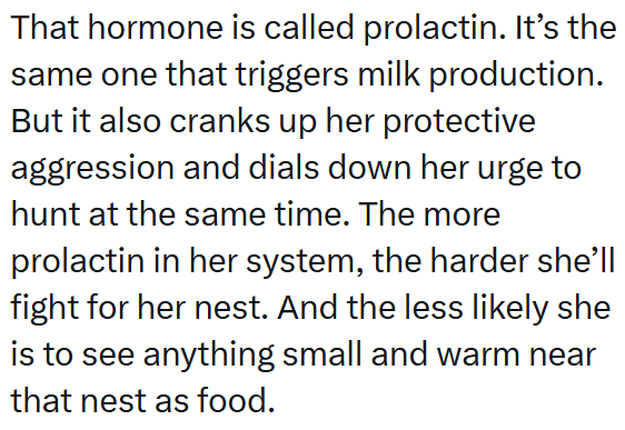 That hormone is called prolactin. It's the same one that triggers milk production. But it also cranks up her protective aggression and dials down her urge to hunt at the same time. The more prolactin in her system, the harder she'll fight for her nest. And the less likely she is to see anything small and warm near that nest as food.