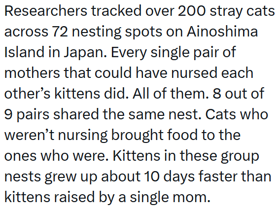 Researchers tracked over 200 stray cats across 72 nesting spots on Ainoshima Island in Japan. Every single pair of mothers that could have nursed each other's kittens did. All of them. 8 out of 9 pairs shared the same nest. Cats who weren't nursing brought food to the ones who were. Kittens in these group nests grew up about 10 days faster than kittens raised by a single mom.