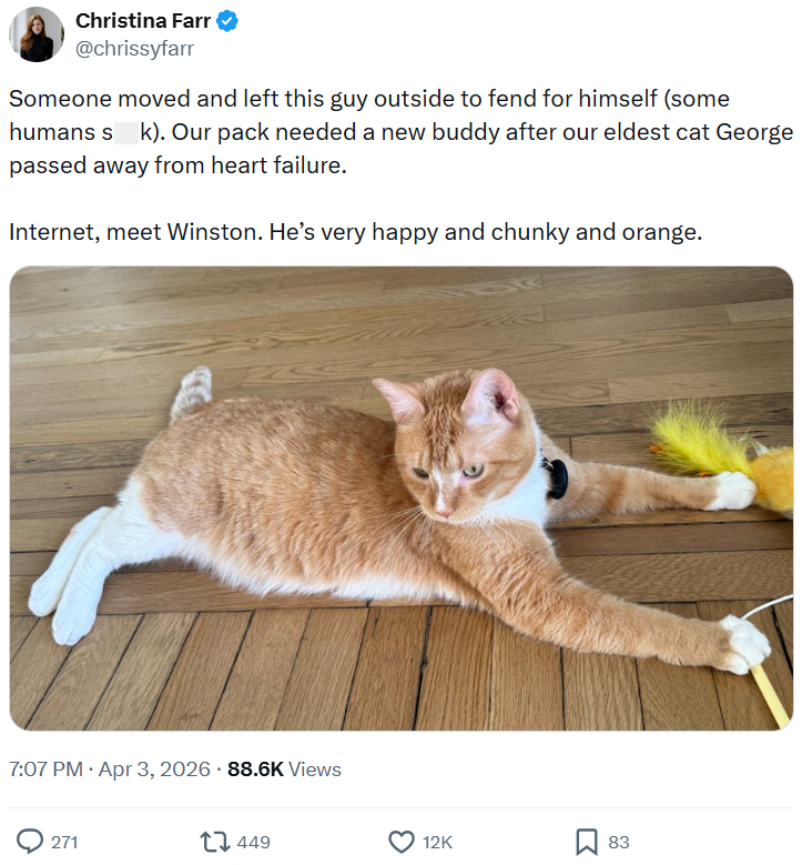 Christina Farr @chrissyfarr Someone moved and left this guy outside to fend for himself (some humans sk). Our pack needed a new buddy after our eldest cat George passed away from heart failure. Internet, meet Winston. He's very happy and chunky and orange. 7:07 PM - Apr 3, 2026 88.6K Views 271 449 12K ☐ 83