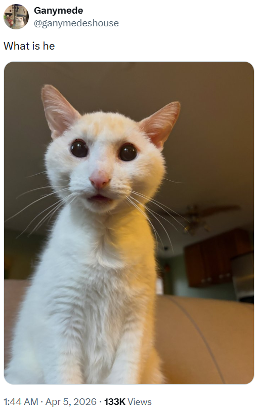 Ganymede @ganymedeshouse What is he . 1:44 AM Apr 5, 2026 133K Views