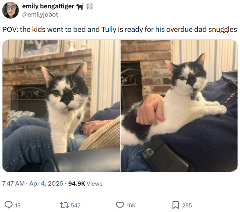 emily bengaltiger @emilyjobot POV: the kids went to bed and Tully is ready for his overdue dad snuggles 7:47 AM • Apr 4, 2026 94.9K Views 18 17542 16K 口 285