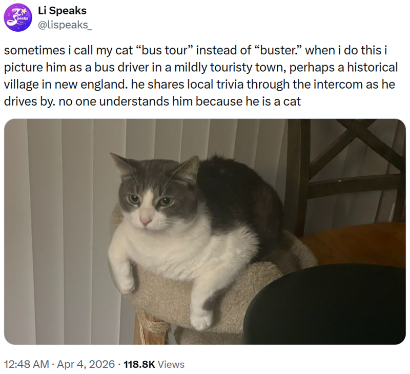 2*Li Speaks peaks @lispeaks sometimes i call my cat "bus tour" instead of “buster." when i do this i picture him as a bus driver in a mildly touristy town, perhaps a historical village in new england. he shares local trivia through the intercom as he drives by. no one understands him because he is a cat 12:48 AM - Apr 4, 2026 118.8K Views