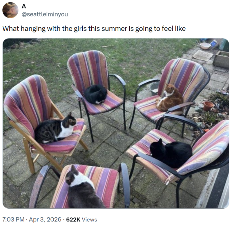 A @seattleiminyou What hanging with the girls this summer is going to feel like 7:03 PM ⚫ Apr 3, 2026 622K Views