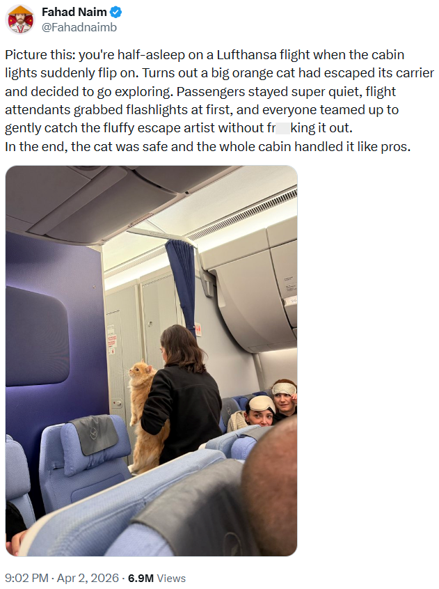 Fahad Naim @Fahadnaimb Picture this: you're half-asleep on a Lufthansa flight when the cabin lights suddenly flip on. Turns out a big orange cat had escaped its carrier and decided to go exploring. Passengers stayed super quiet, flight attendants grabbed flashlights at first, and everyone teamed up to gently catch the fluffy escape artist without fr king it out. In the end, the cat was safe and the whole cabin handled it like pros. 9:02 PM - Apr 2, 2026 - 6.9M Views