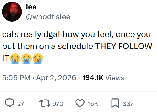 lee @whodfislee cats really dgaf how you feel, once you put them on a schedule THEY FOLLOW IT 台台 5:06 PM Apr 2, 2026 · 194.1K Views → 27 1970 16K ☐ 337