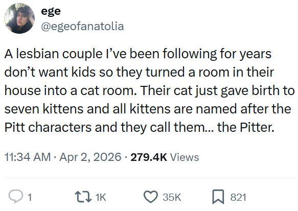 ege @egeofanatolia A lesbian couple I've been following for years don't want kids so they turned a room in their house into a cat room. Their cat just gave birth to seven kittens and all kittens are named after the Pitt characters and they call them... the Pitter. 11:34 AM Apr 2, 2026 279.4K Views 1 171K 35K 821