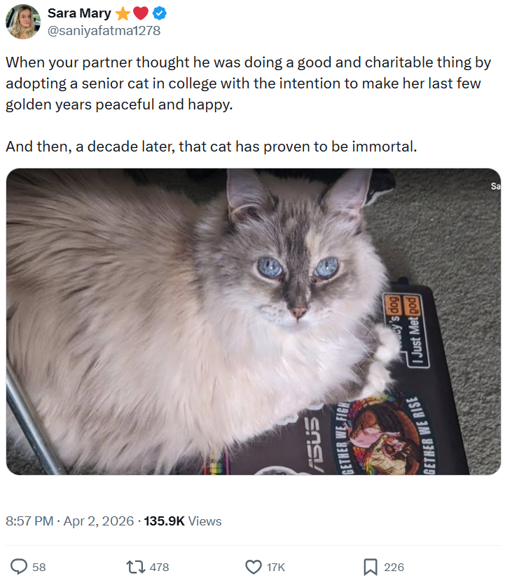 Sara Mary✩ @saniyafatma1278 When your partner thought he was doing a good and charitable thing by adopting a senior cat in college with the intention to make her last few golden years peaceful and happy. And then, a decade later, that cat has proven to be immortal. • 8:57 PM Apr 2, 2026 135.9K Views 58 • 1478 ASUS GETHER WE FIGH 17K 226 GETHER WE RISE Bops, Ka I Just Met pod Sa