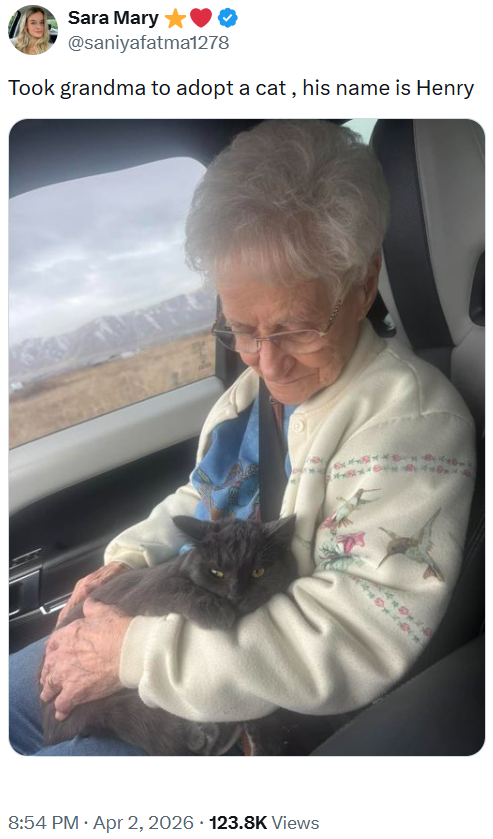 Sara Mary✩ @saniyafatma1278 Took grandma to adopt a cat, his name is Henry . . 8:54 PM ⚫ Apr 2, 2026 123.8K Views