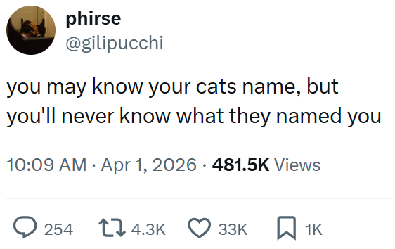 phirse @gilipucchi you may know your cats name, but you'll never know what they named you 10:09 AM Apr 1, 2026 481.5K Views 254 14.3K 33K ☐ 1K