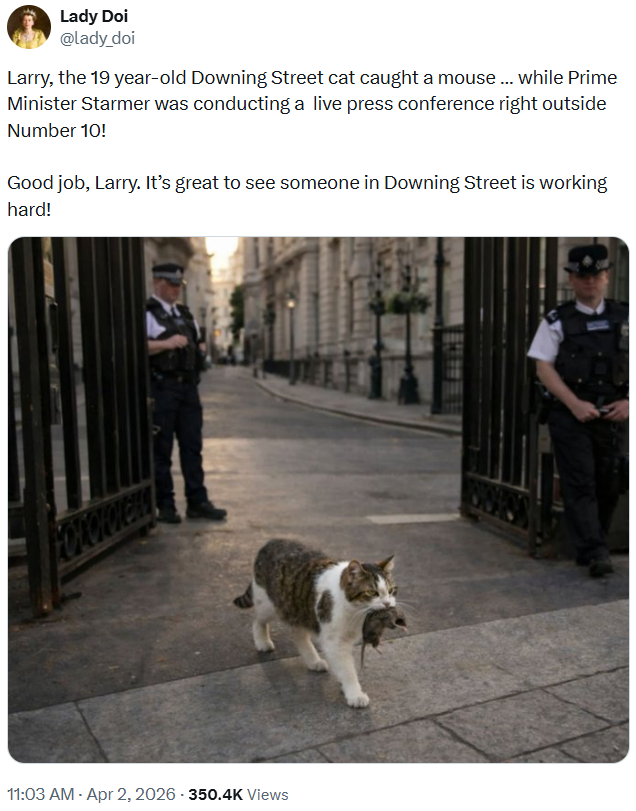 Lady Doi @lady_doi Larry, the 19 year-old Downing Street cat caught a mouse ... while Prime Minister Starmer was conducting a live press conference right outside Number 10! Good job, Larry. It's great to see someone in Downing Street is working hard! 11:03 AM - Apr 2, 2026 - 350.4K Views