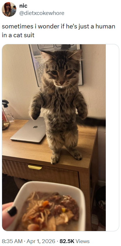 nic @dietxcokewhore sometimes i wonder if he's just a human in a cat suit 010 8:35 AM ⚫ Apr 1, 2026 82.5K Views .