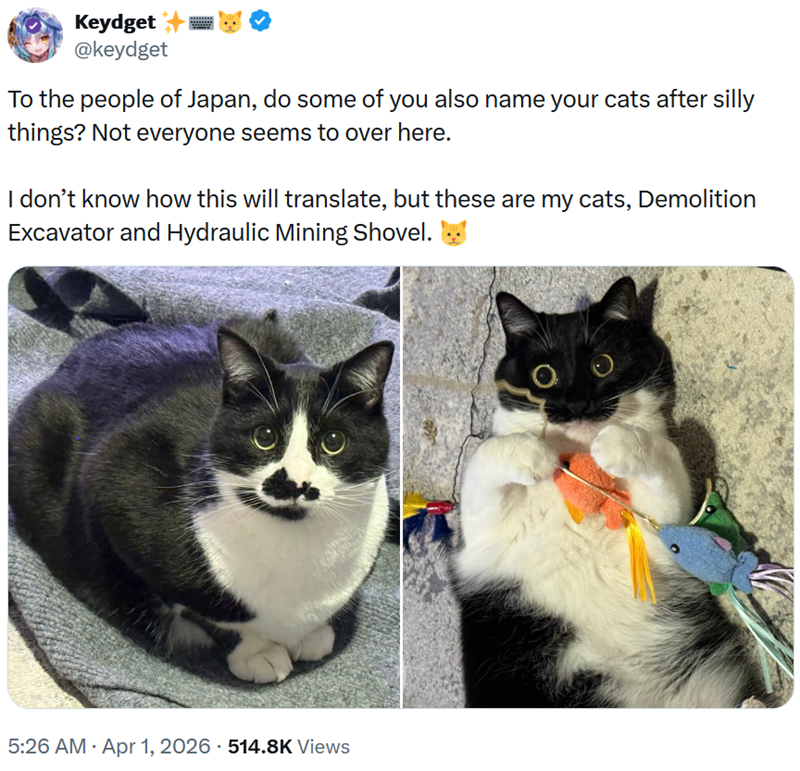 Keydget @keydget To the people of Japan, do some of you also name your cats after silly things? Not everyone seems to over here. I don't know how this will translate, but these are my cats, Demolition Excavator and Hydraulic Mining Shovel. • • 5:26 AM Apr 1, 2026 514.8K Views