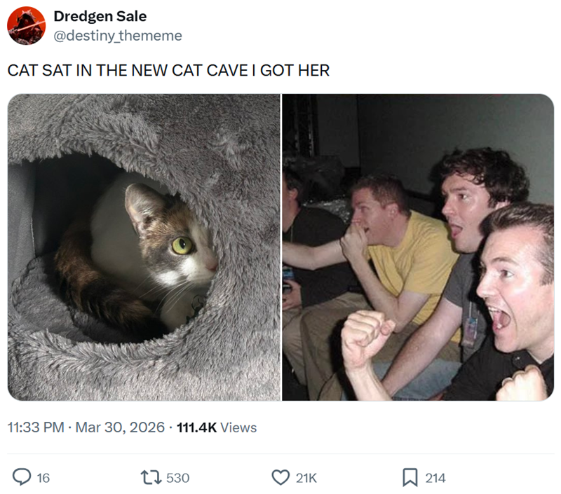 Dredgen Sale @destiny_thememe CAT SAT IN THE NEW CAT CAVE I GOT HER 11:33 PM · Mar 30, 2026 111.4K Views 16 17530 21K ☐ 214