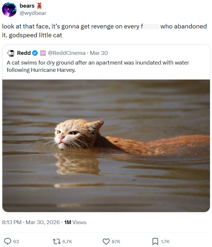 bears @wydbear look at that face, it's gonna get revenge on every f who abandoned it.godspeed little cat Redd @ReddCinema · Mar 30 A cat swims for dry ground after an apartment was inundated with water following Hurricane Harvey. . • 8:13 PM · Mar 30, 2026 1M Views 63 16.7K 87K 1.7K