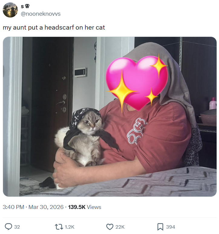 @nooneknovvs my aunt put a headscarf on her cat . 3:40 PM · Mar 30, 2026 139.5K Views 32 1.2K 22K 394