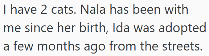 I have 2 cats. Nala has been with me since her birth, Ida was adopted a few months ago from the streets.