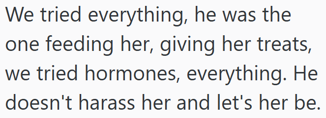 We tried everything, he was the one feeding her, giving her treats, we tried hormones, everything. He doesn't harass her and let's her be.