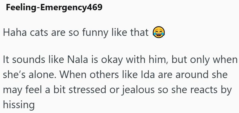 Feeling-Emergency469 Haha cats are so funny like that ③ It sounds like Nala is okay with him, but only when she's alone. When others like Ida are around she may feel a bit stressed or jealous so she reacts by hissing