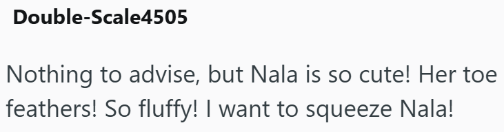 Double-Scale4505 Nothing to advise, but Nala is so cute! Her toe feathers! So fluffy! I want to squeeze Nala!