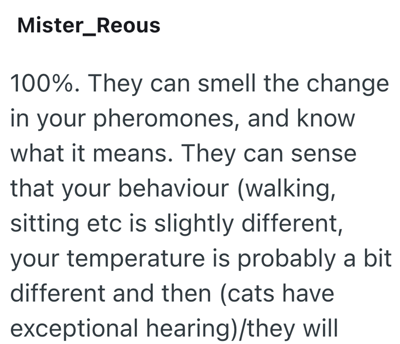 Mister_Reous 100%. They can smell the change in your pheromones, and know what it means. They can sense that your behaviour (walking, sitting etc is slightly different, your temperature is probably a bit different and then (cats have exceptional hearing)/they will