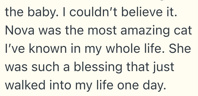 the baby. I couldn't believe it. Nova was the most amazing cat I've known in my whole life. She was such a blessing that just walked into my life one day.