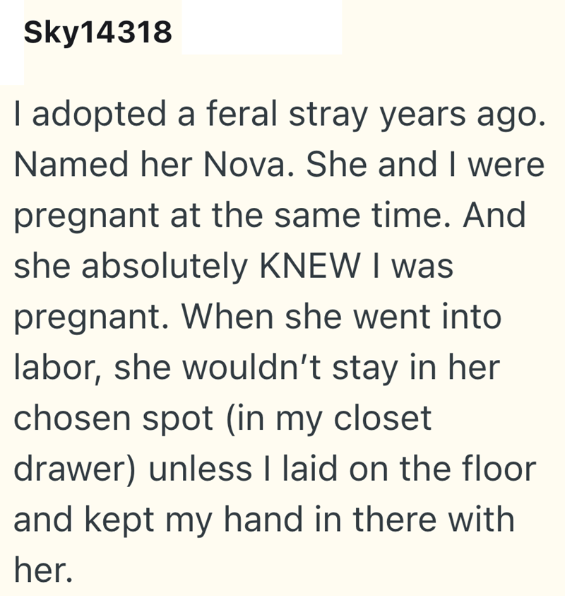 Sky14318 I adopted a feral stray years ago. Named her Nova. She and I were pregnant at the same time. And she absolutely KNEW I was pregnant. When she went into labor, she wouldn't stay in her chosen spot (in my closet drawer) unless I laid on the floor and kept my hand in there with her.