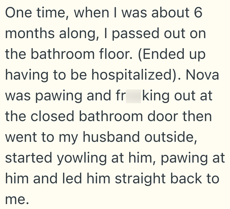 One time, when I was about 6 months along, I passed out on the bathroom floor. (Ended up having to be hospitalized). Nova was pawing and fr king out at the closed bathroom door then went to my husband outside, started yowling at him, pawing at him and led him straight back to me.