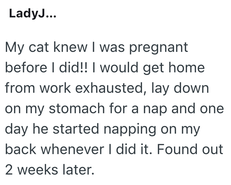 LadyJ... My cat knew I was pregnant before I did!! I would get home from work exhausted, lay down on my stomach for a nap and one day he started napping on my back whenever I did it. Found out 2 weeks later.