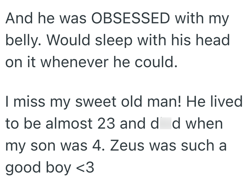 And he was OBSESSED with my belly. Would sleep with his head on it whenever he could. I miss my sweet old man! He lived to be almost 23 and d d when my son was 4. Zeus was such a good boy <3