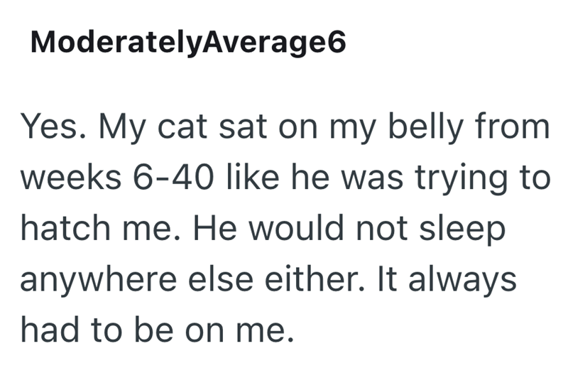 ModeratelyAverage6 Yes. My cat sat on my belly from weeks 6-40 like he was trying to hatch me. He would not sleep anywhere else either. It always had to be on me.