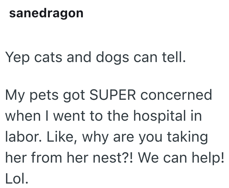 sanedragon Yep cats and dogs can tell. My pets got SUPER concerned when I went to the hospital in labor. Like, why are you taking her from her nest?! We can help! Lol.