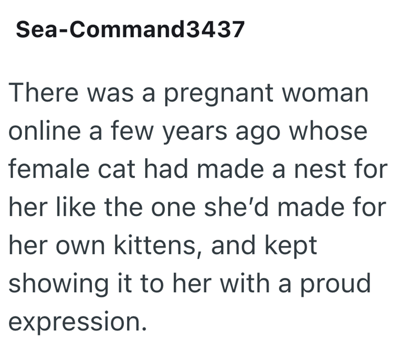 Sea-Command3437 There was a pregnant woman online a few years ago whose female cat had made a nest for her like the one she'd made for her own kittens, and kept showing it to her with a proud expression.