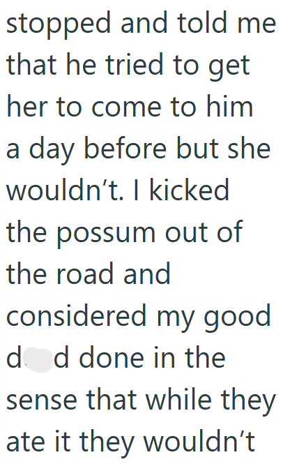 stopped and told me that he tried to get her to come to him a day before but she wouldn't. I kicked the possum out of the road and considered my good dod done in the sense that while they ate it they wouldn't