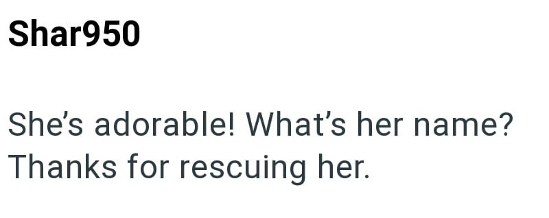 Shar950 She's adorable! What's her name? Thanks for rescuing her.