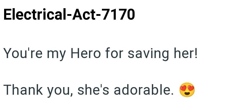 Electrical-Act-7170 You're my Hero for saving her! Thank you, she's adorable.